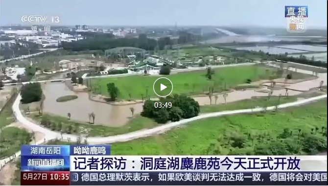 央視報(bào)道 | 易大設(shè)計(jì)EPC項(xiàng)目-湖南東洞庭湖麋鹿和鳥(niǎo)類救助避難中心正式開(kāi)園